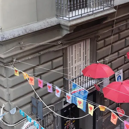 Three Toledo Guest house